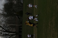 Enlarge photo 88