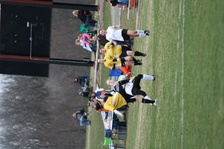 Enlarge photo 97