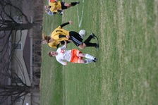 Enlarge photo 116
