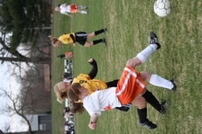 Enlarge photo 124