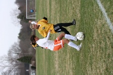 Enlarge photo 125
