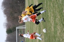 Enlarge photo 126
