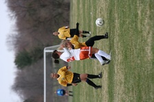Enlarge photo 127