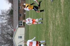 Enlarge photo 131