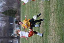 Enlarge photo 137