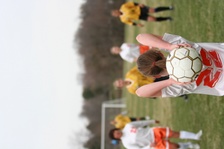 Enlarge photo 141