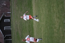 Enlarge photo 143