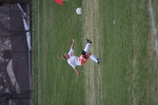 Enlarge photo 144