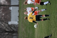 Enlarge photo 147