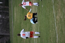 Enlarge photo 160