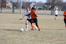 Enlarge photo 33
