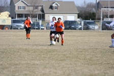Enlarge photo 41