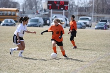 Enlarge photo 51