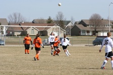 Enlarge photo 99