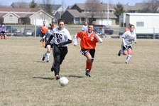 Enlarge photo 178