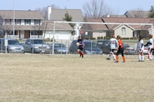 Enlarge photo 181