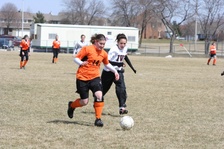 Enlarge photo 187
