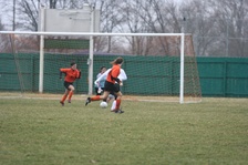 Enlarge photo 42