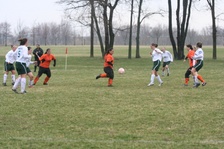 Enlarge photo 51