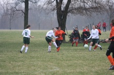 Enlarge photo 52