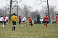 Enlarge photo 53
