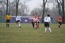 Enlarge photo 58