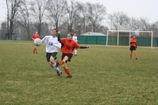 Enlarge photo 63