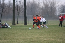 Enlarge photo 64