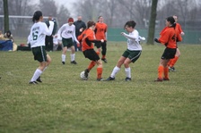 Enlarge photo 68