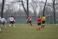 Enlarge photo 76