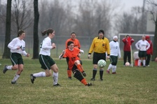 Enlarge photo 81