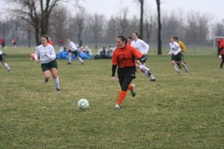 Enlarge photo 82
