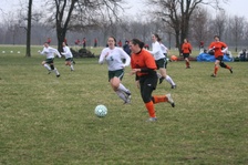 Enlarge photo 83