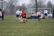 Enlarge photo 87