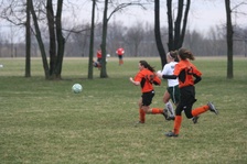 Enlarge photo 91