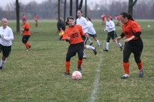 Enlarge photo 93