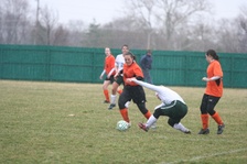 Enlarge photo 119