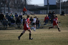 Enlarge photo 41