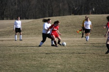 Enlarge photo 42