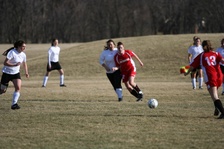 Enlarge photo 43