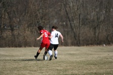 Enlarge photo 47