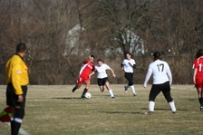 Enlarge photo 62