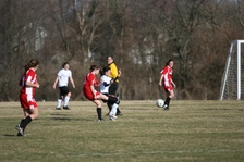 Enlarge photo 63