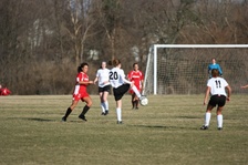 Enlarge photo 102