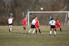 Enlarge photo 103