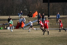Enlarge photo 105