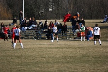 Enlarge photo 107