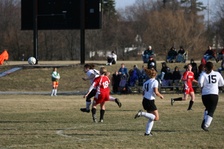 Enlarge photo 113