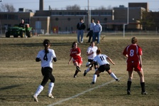Enlarge photo 116