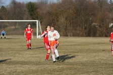 Enlarge photo 118